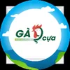 Gà 9 cựa Phú Thọ