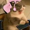 xx_danna_xx5
