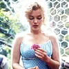 dearmonroe