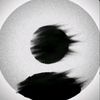 tariq_138