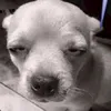hai_d0n
