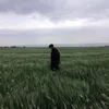 bh_a.r