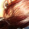 amapola_313