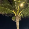 doidepdr