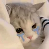 quynh_anhiu246