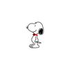 user51320480568627