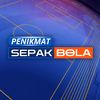 Penikmat Sepak Bola