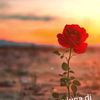 sendiri.com.007