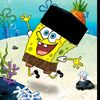 muhammadakmal9477