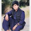 farhad.akbari31