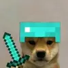 gostodeminecraft231