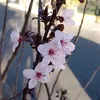 _.._blue.berry_.._