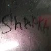shapka_99