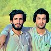 gull.ahmad851