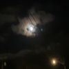 rayisasleep