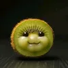 pradigag
