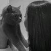 aela_550