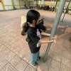 kachi3813