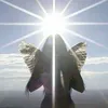 polaria_