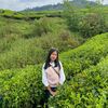 irasusanti_00