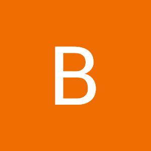 brandon81338
