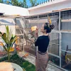 petshop2k