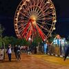 djaoued.djaoued56