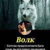 user2505462852803