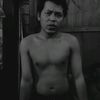 zull228