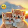 bd.bou03