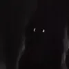 bm.bsdm