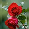 user7422694261571