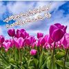 za.rina137