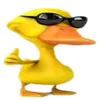 kirklandofficial1