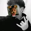 srmello14