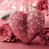 chouckri.abdillah