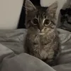 idhcvytxhd