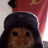 nxttehrl