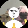 paniblogg