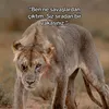 patron47_1