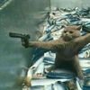 ilovekittrick