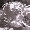 _.kaaii11