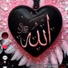 jamil6162