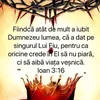 eliza.lupu3