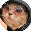 gato_zzz14
