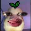 febyfebiola10
