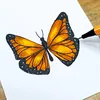 DrawWithMe