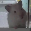 han6a4heheheheh123