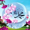 istiqomah4363