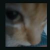 nose_81232